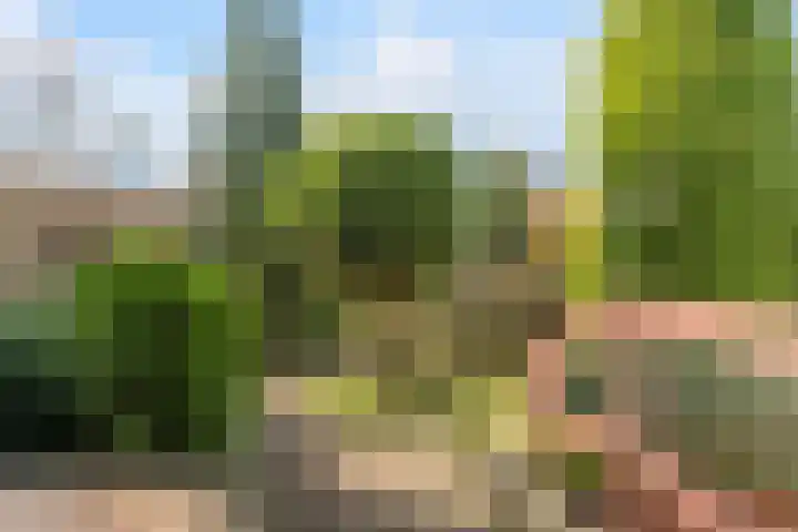 Schoutstraat 29 Rijen thumbnail 4