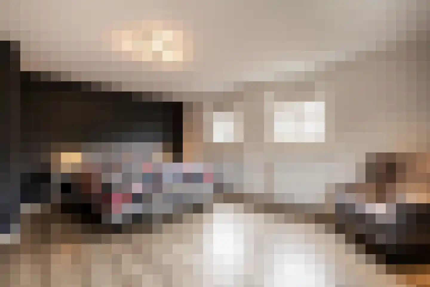 Schoutstraat 31 Oss thumbnail 15