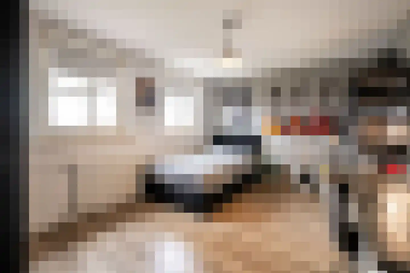 Schoutstraat 31 Oss thumbnail 16