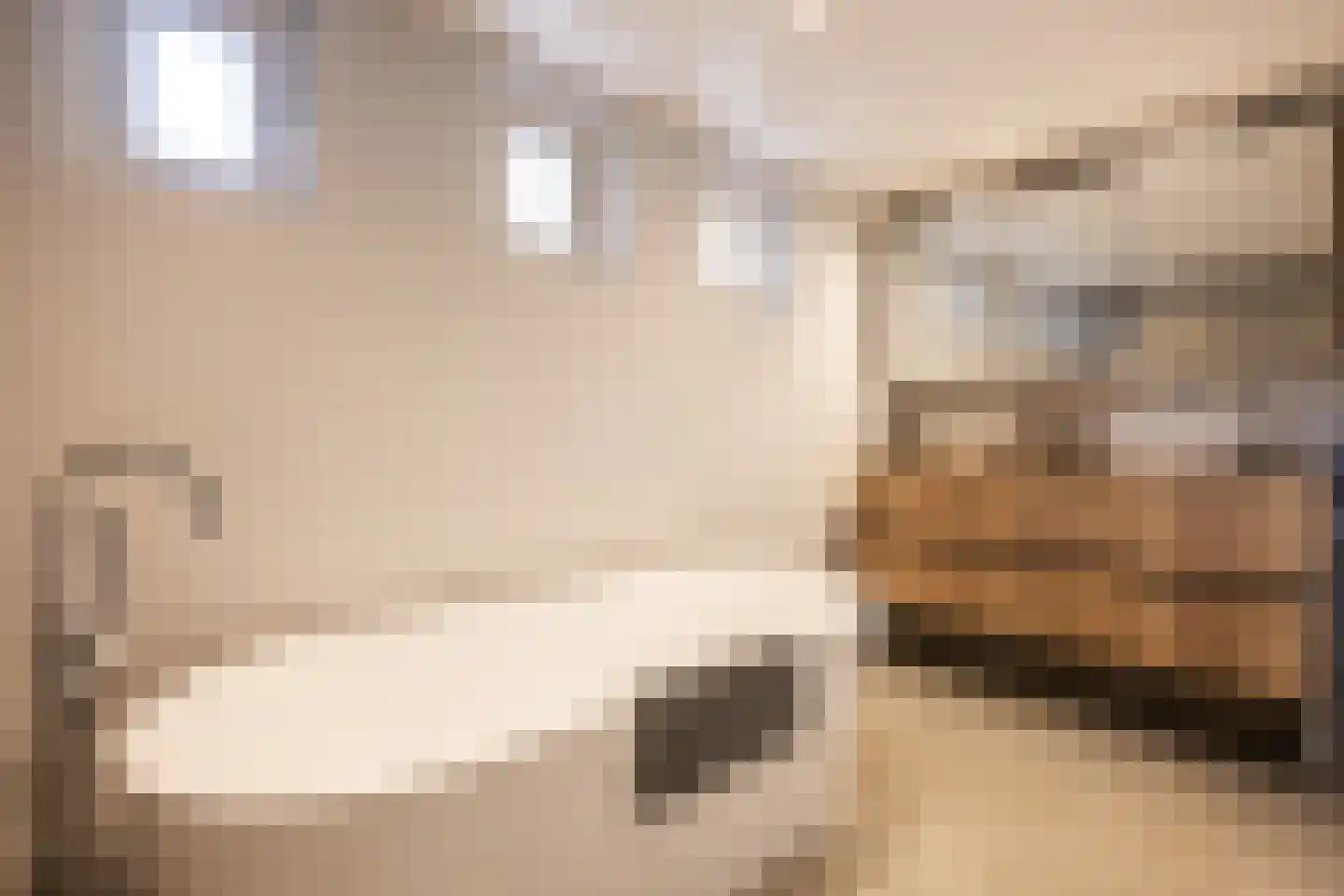 Schoutstraat 31 Oss thumbnail 19