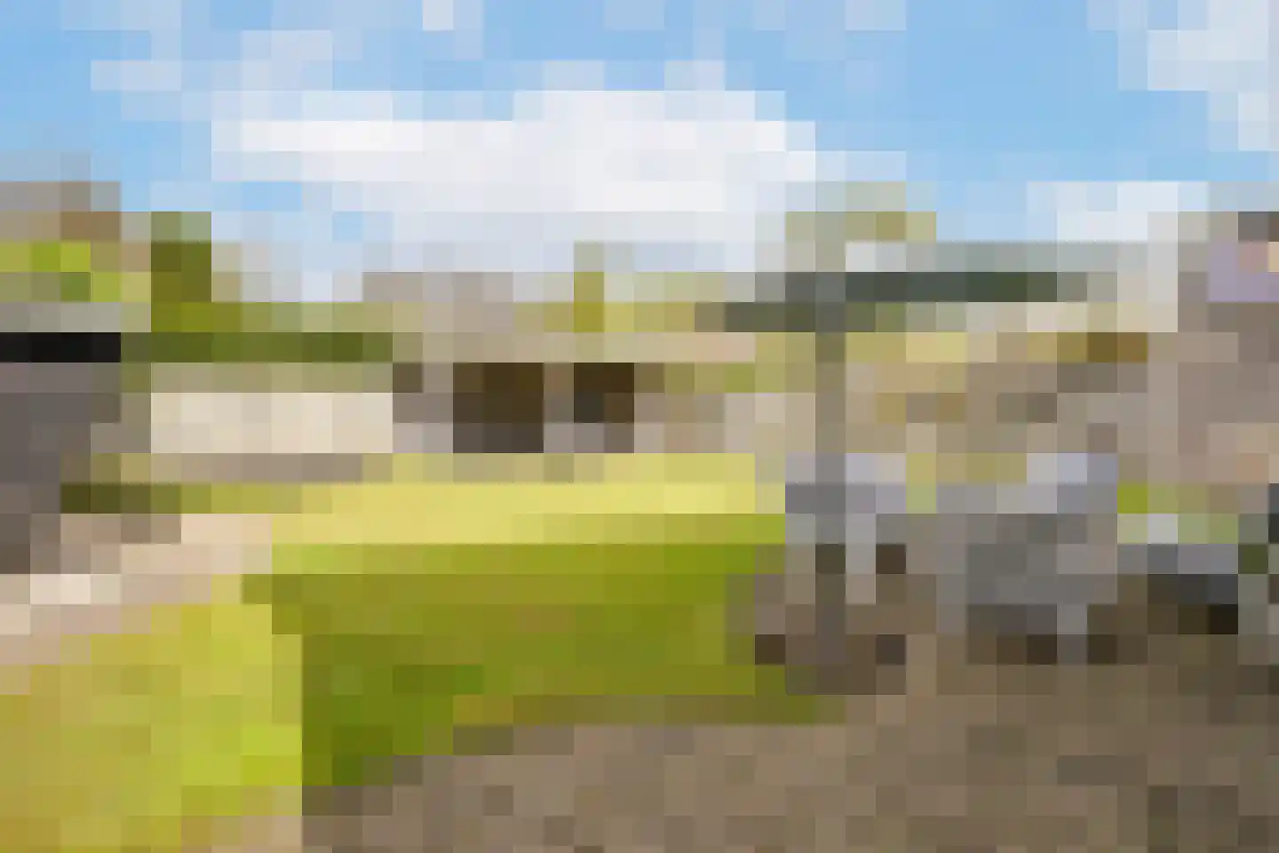 Schoutstraat 31 Oss thumbnail 24
