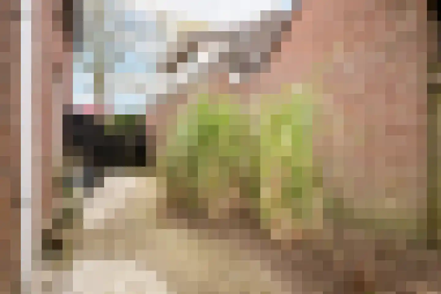 Schoutstraat 31 Oss thumbnail 26
