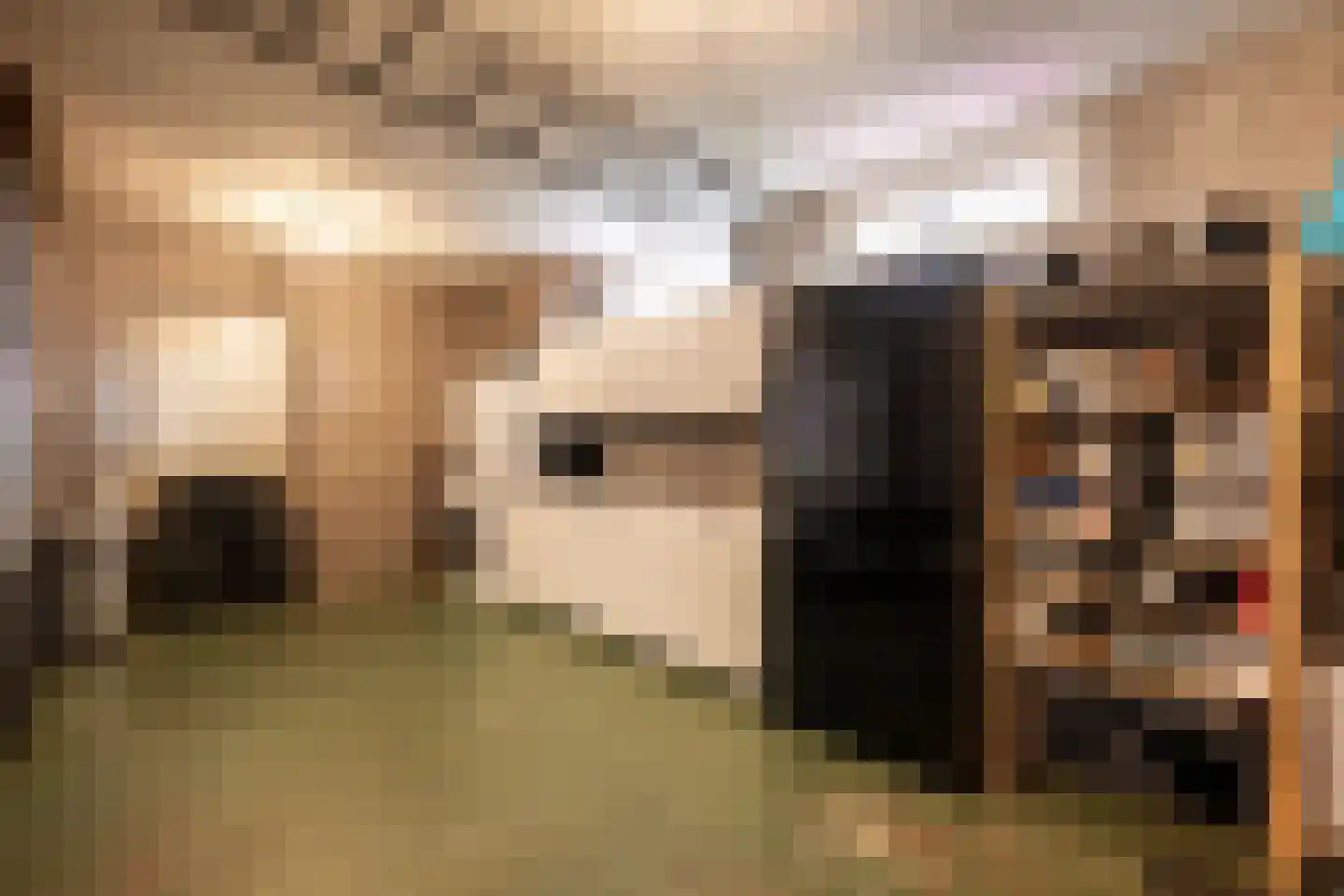 Schoutstraat 31 Oss thumbnail 27