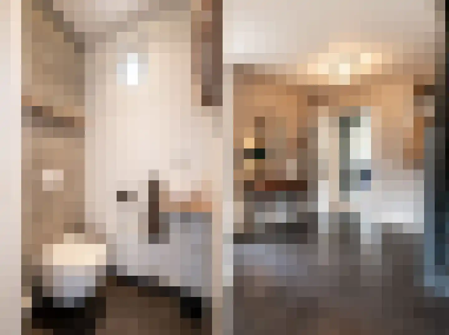 Schoutstraat 31 Oss thumbnail 6
