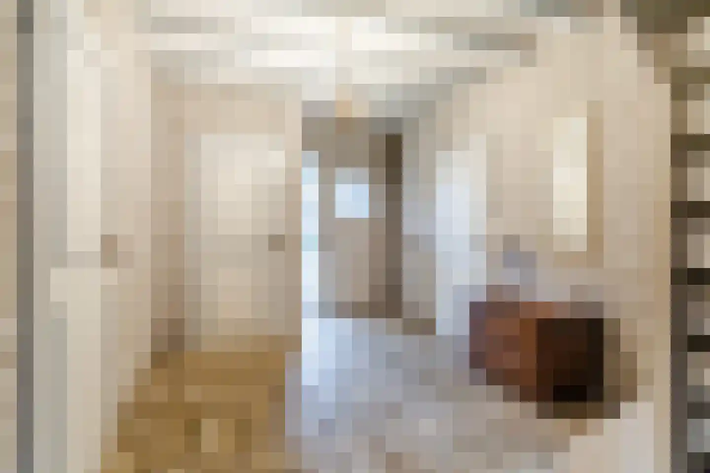 Schoutstraat 34 Oss thumbnail 10