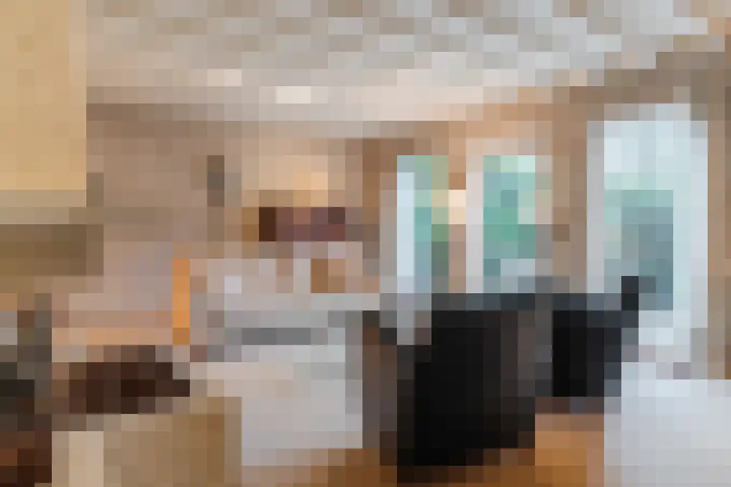 Schoutstraat 34 Oss thumbnail 12