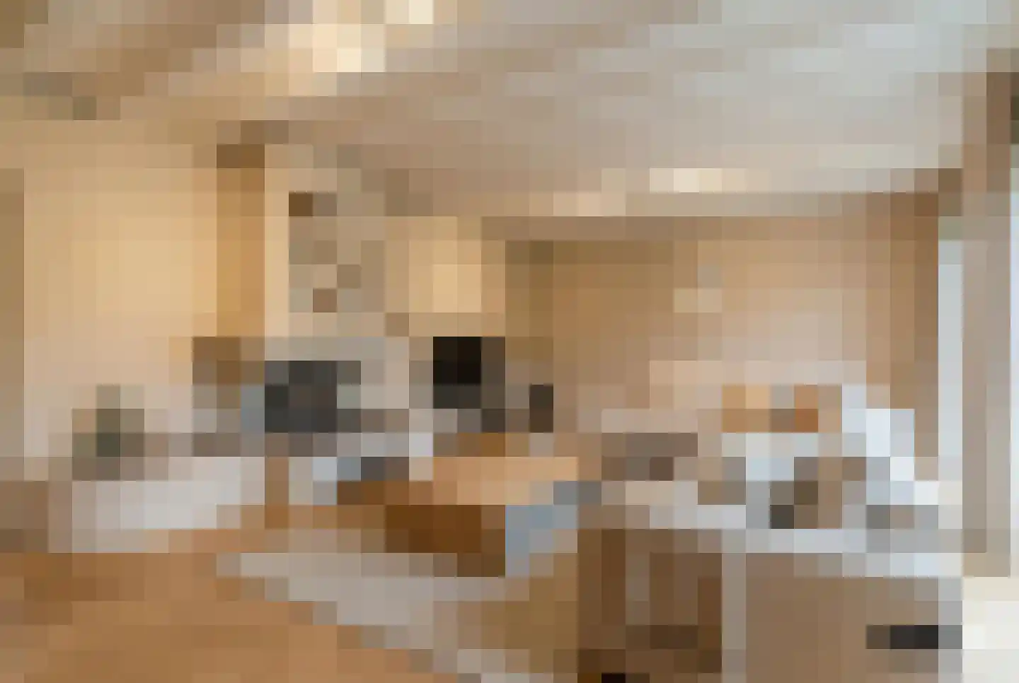 Schoutstraat 34 Oss thumbnail 15