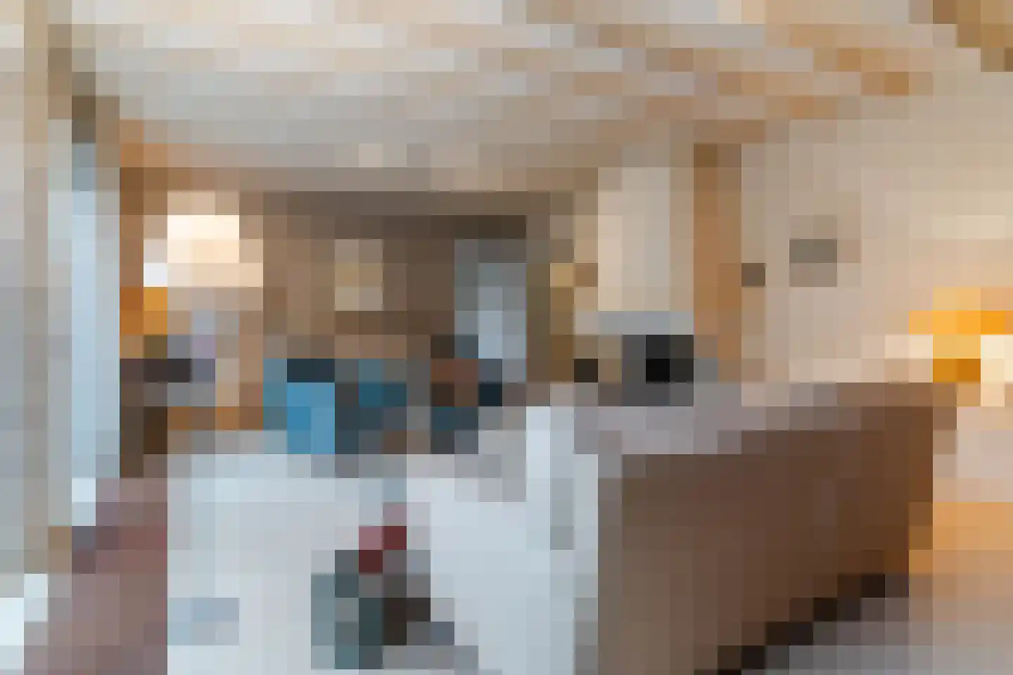 Schoutstraat 34 Oss thumbnail 17
