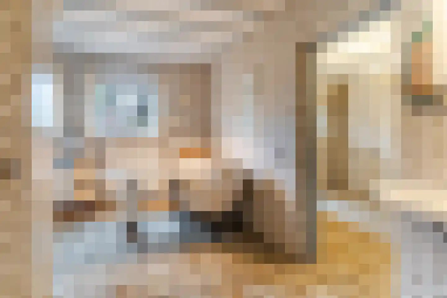 Schoutstraat 34 Oss thumbnail 23