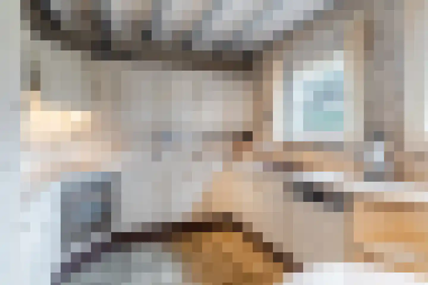 Schoutstraat 34 Oss thumbnail 25