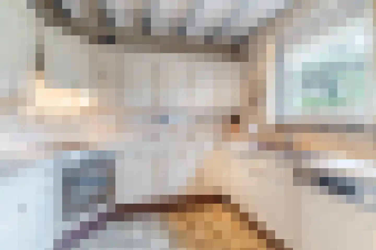 Schoutstraat 34 Oss thumbnail 26