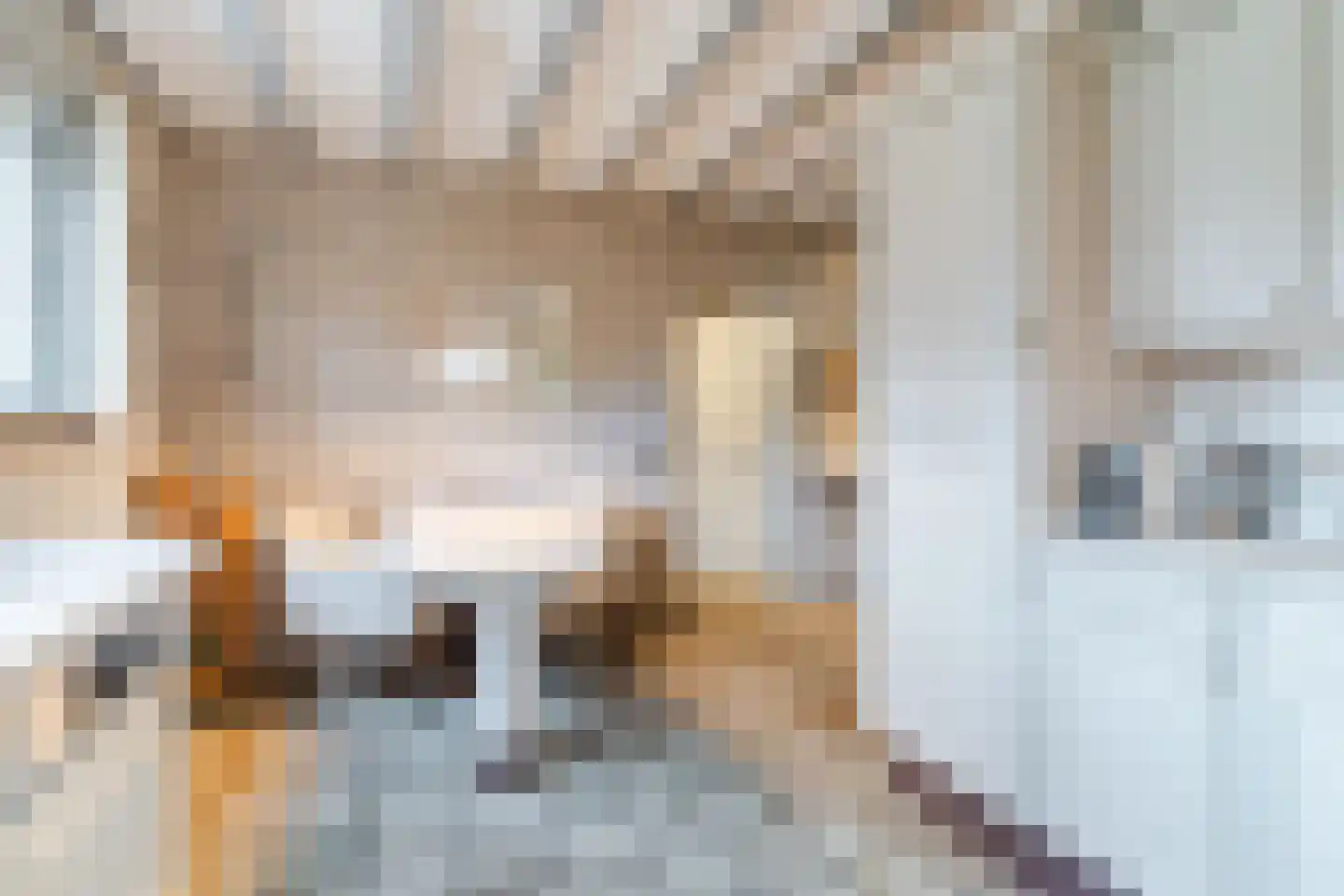 Schoutstraat 34 Oss thumbnail 27