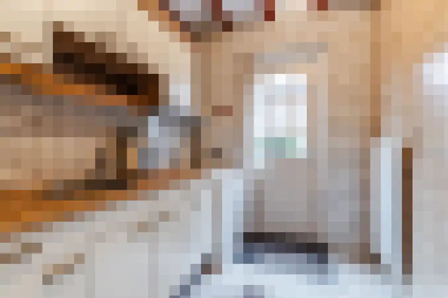 Schoutstraat 34 Oss thumbnail 28