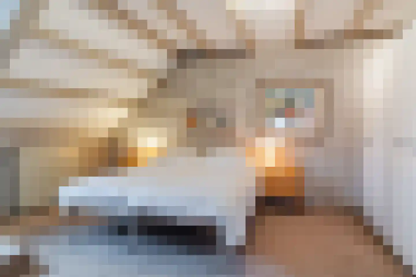 Schoutstraat 34 Oss thumbnail 30