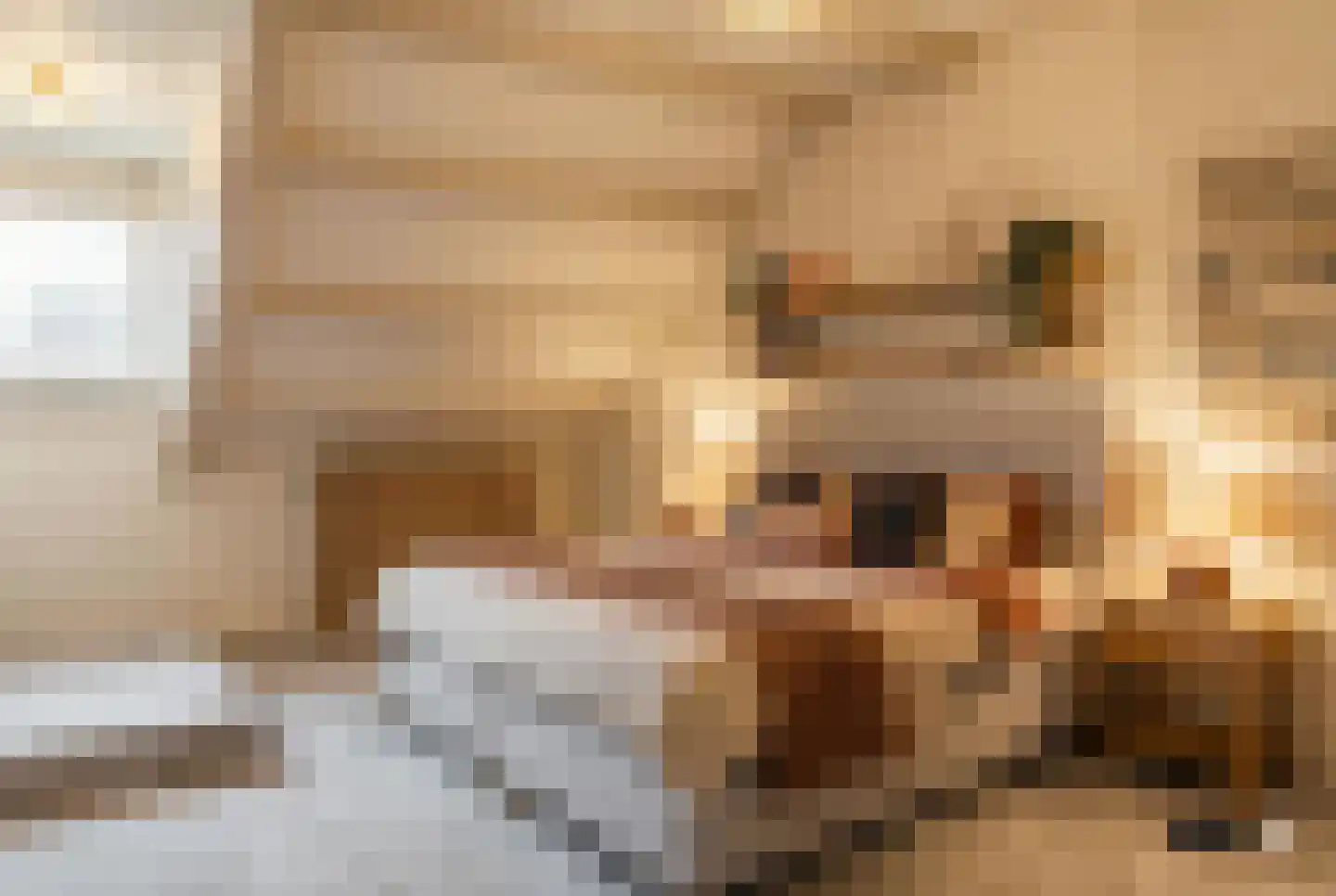 Schoutstraat 34 Oss thumbnail 32