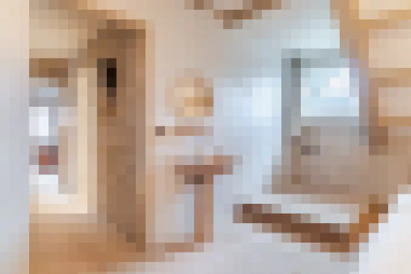 Schoutstraat 34 Oss thumbnail 33