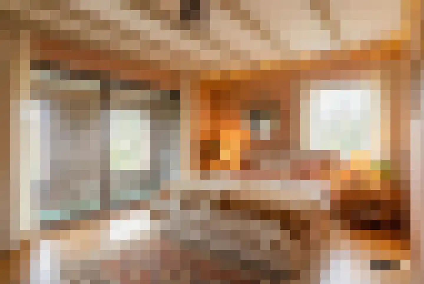 Schoutstraat 34 Oss thumbnail 43