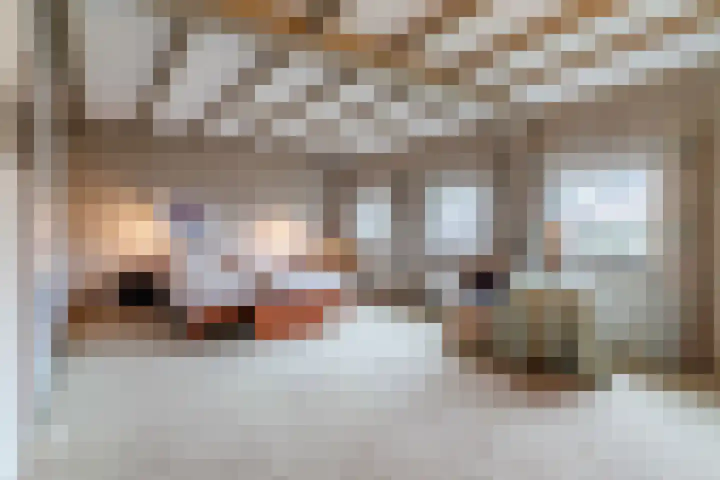 Schoutstraat 34 Oss thumbnail 44