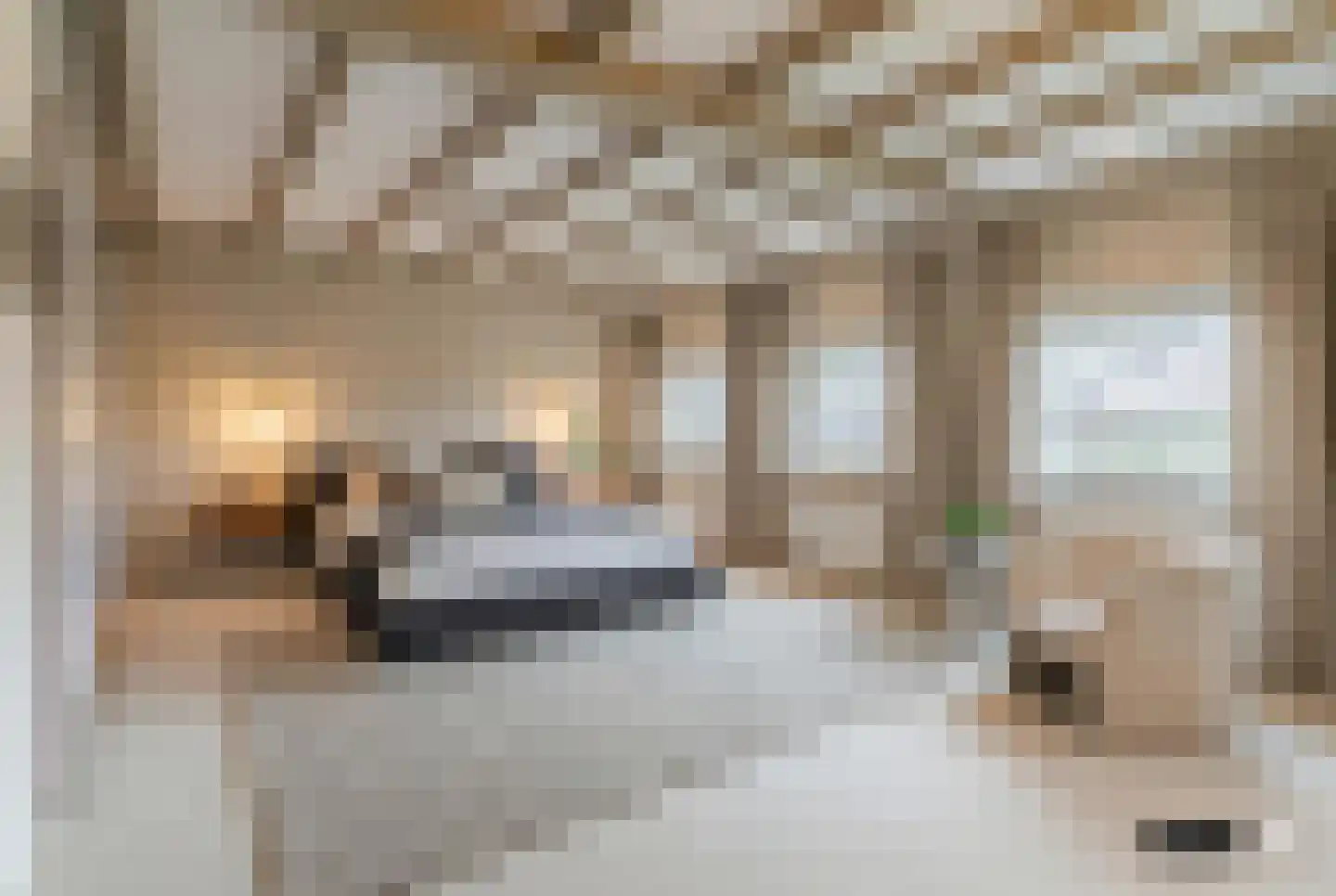 Schoutstraat 34 Oss thumbnail 45