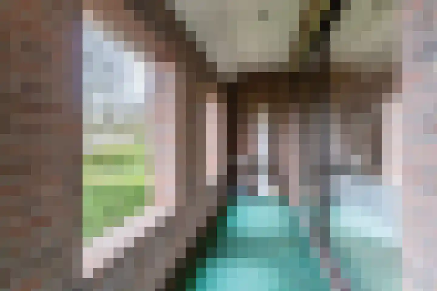 Schoutstraat 34 Oss thumbnail 50