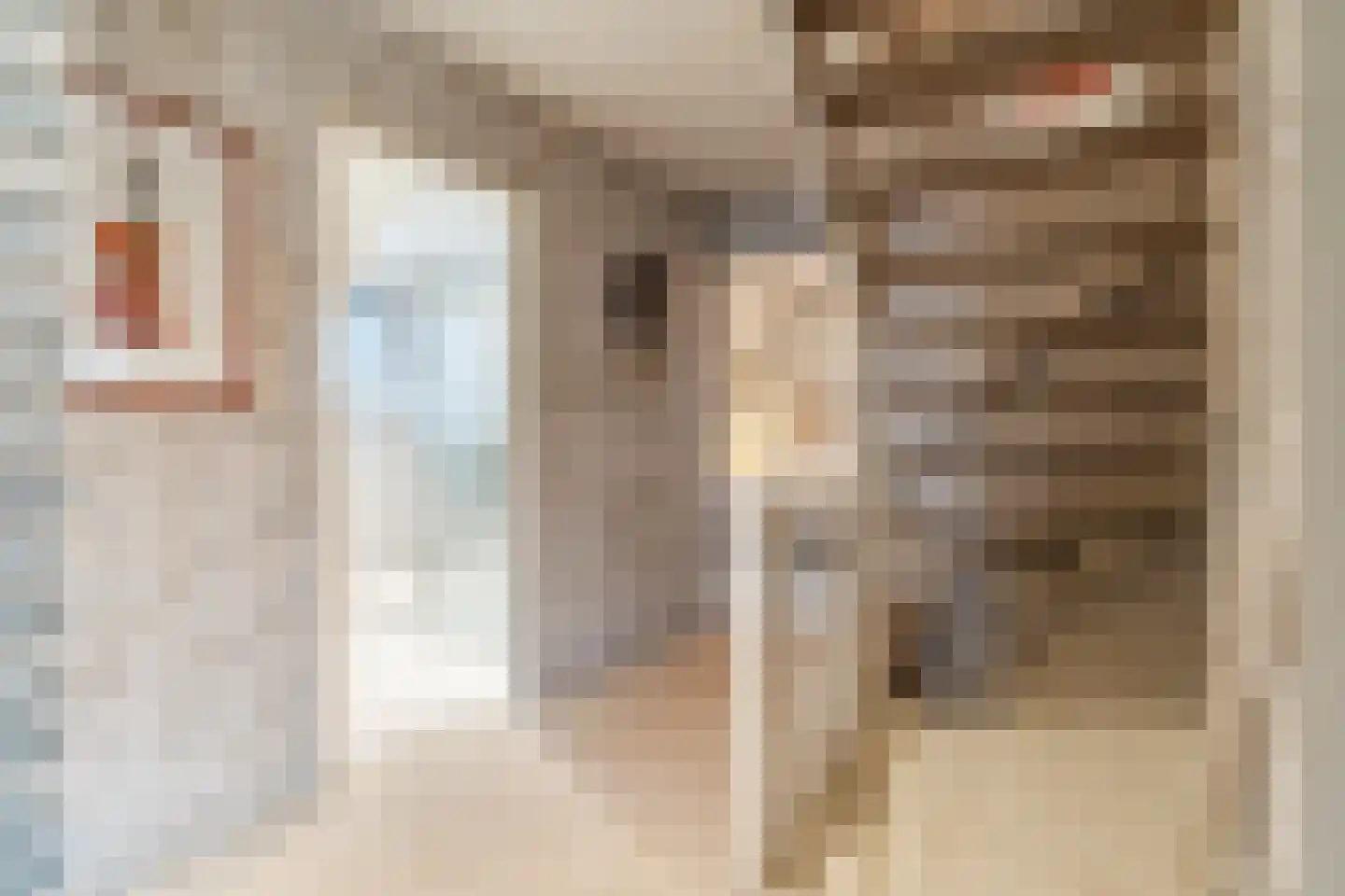 Schoutstraat 34 Oss thumbnail 54