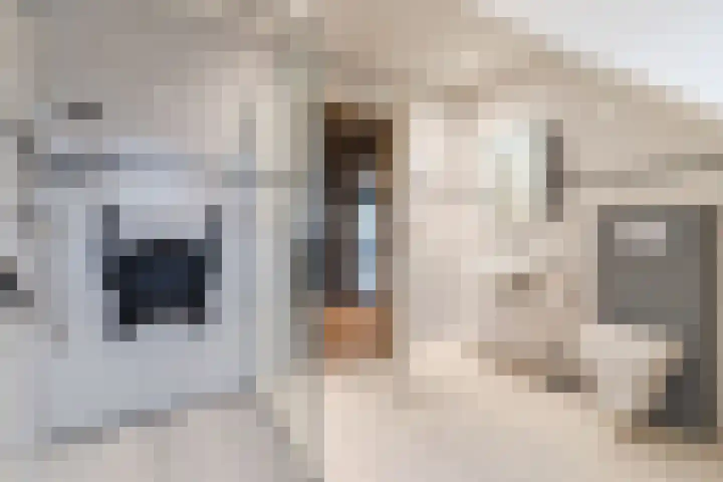 Schoutstraat 34 Oss thumbnail 56