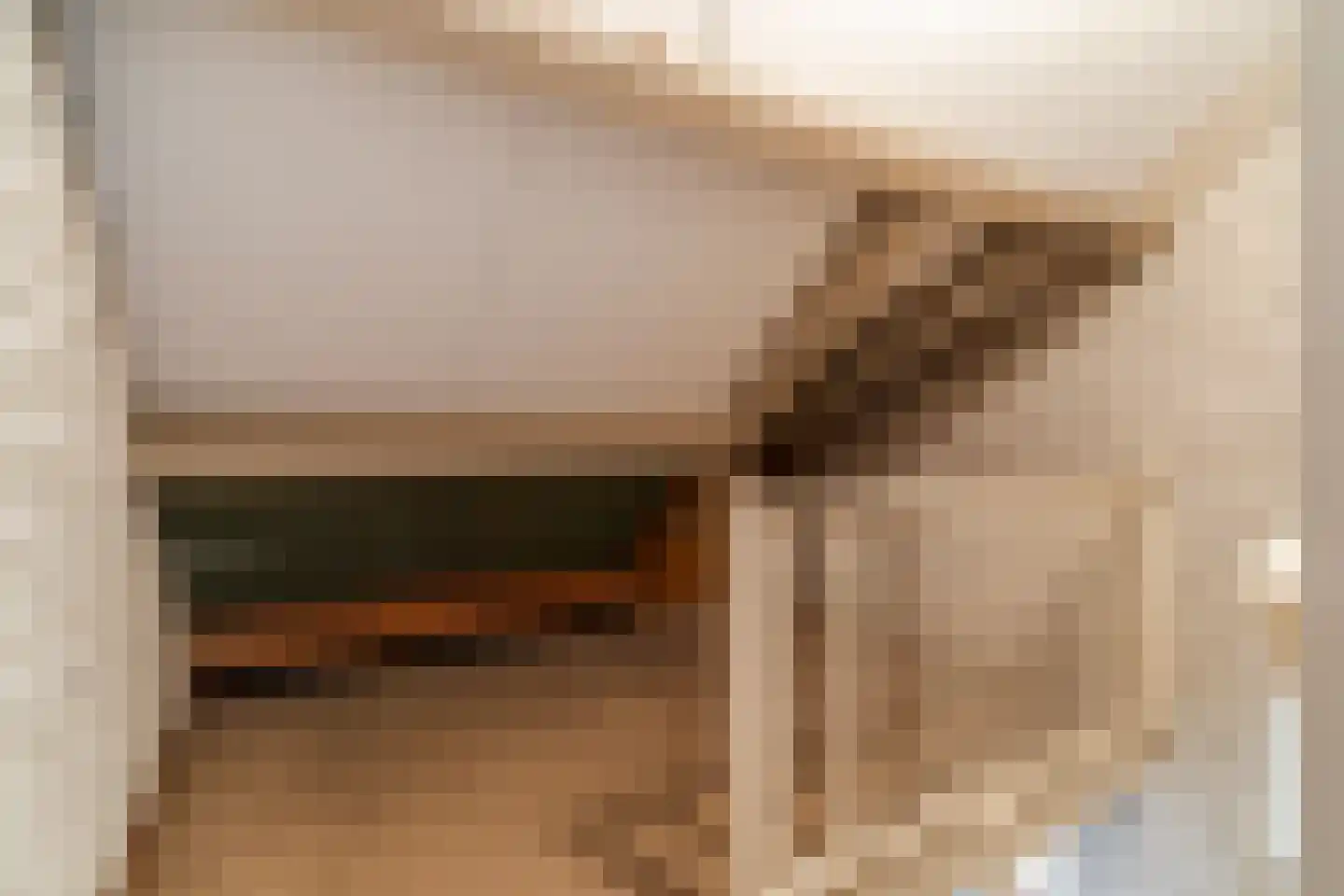 Schoutstraat 34 Oss thumbnail 67