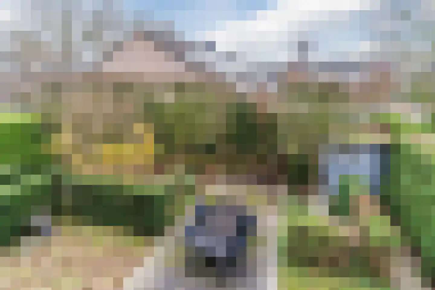 Schoutstraat 34 Oss thumbnail 69