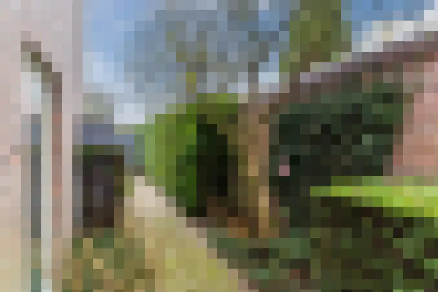 Schoutstraat 34 Oss thumbnail 70