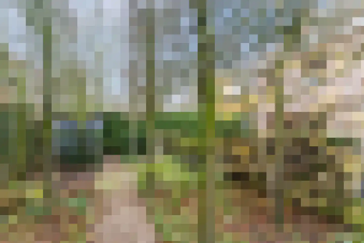 Schoutstraat 34 Oss thumbnail 78
