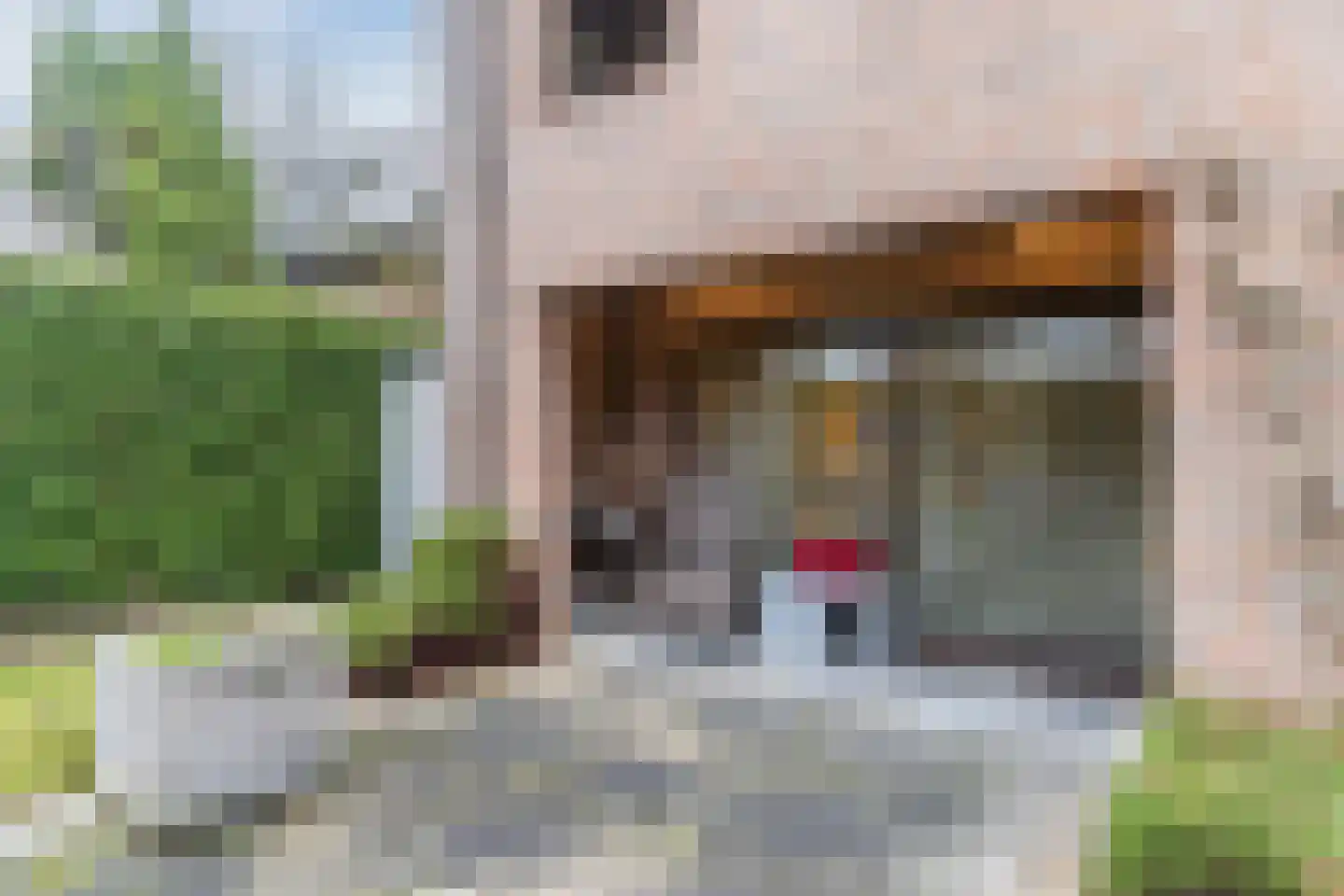 Schoutstraat 34 Oss thumbnail 79