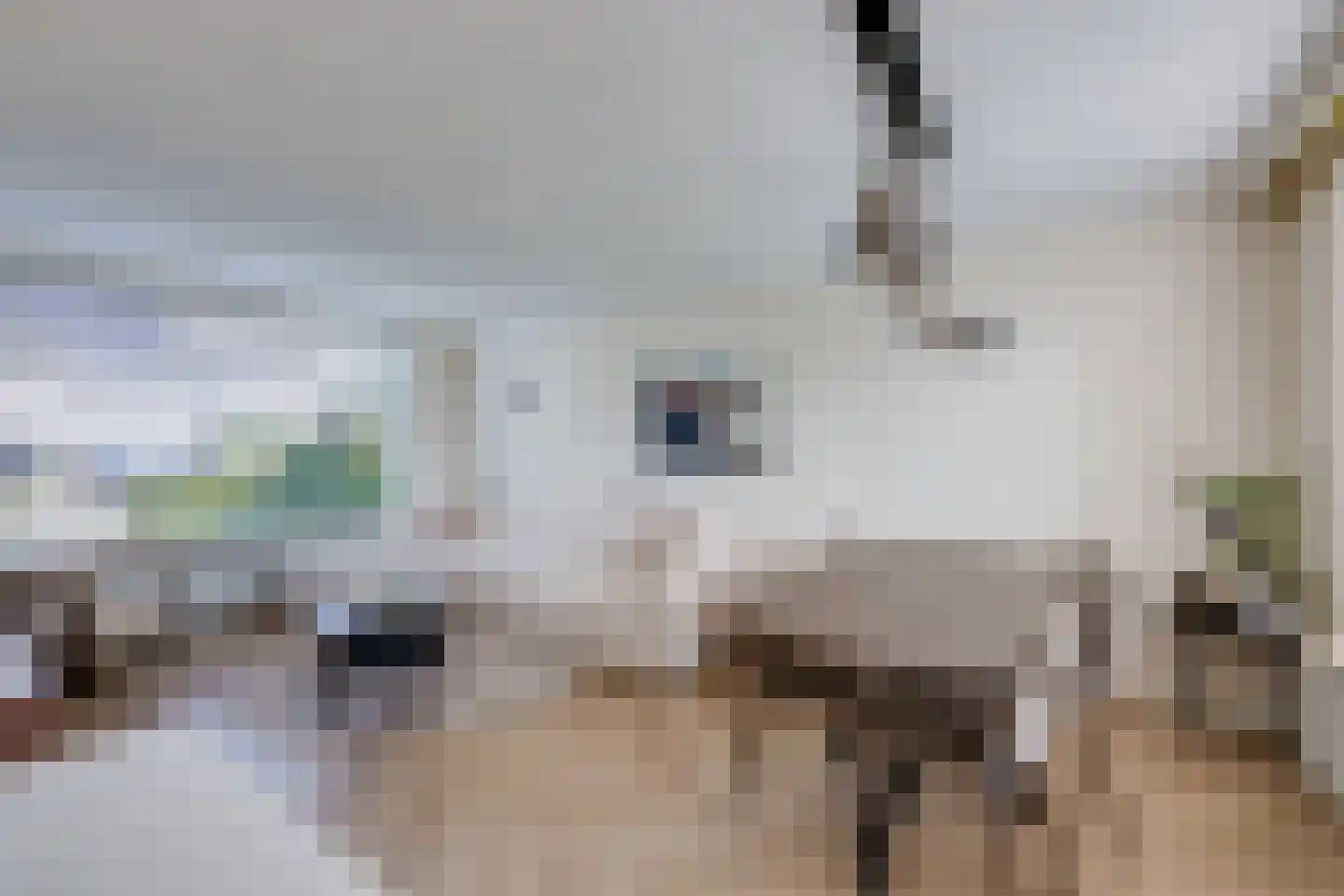 Schoutstraat 34 Rijen thumbnail 10