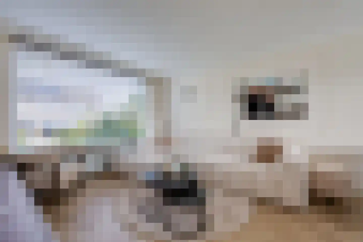 Schoutstraat 34 Rijen thumbnail 12