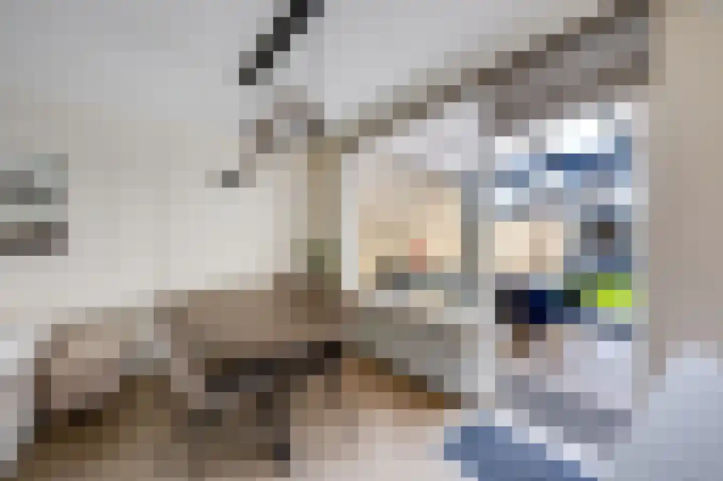 Schoutstraat 34 Rijen thumbnail 15