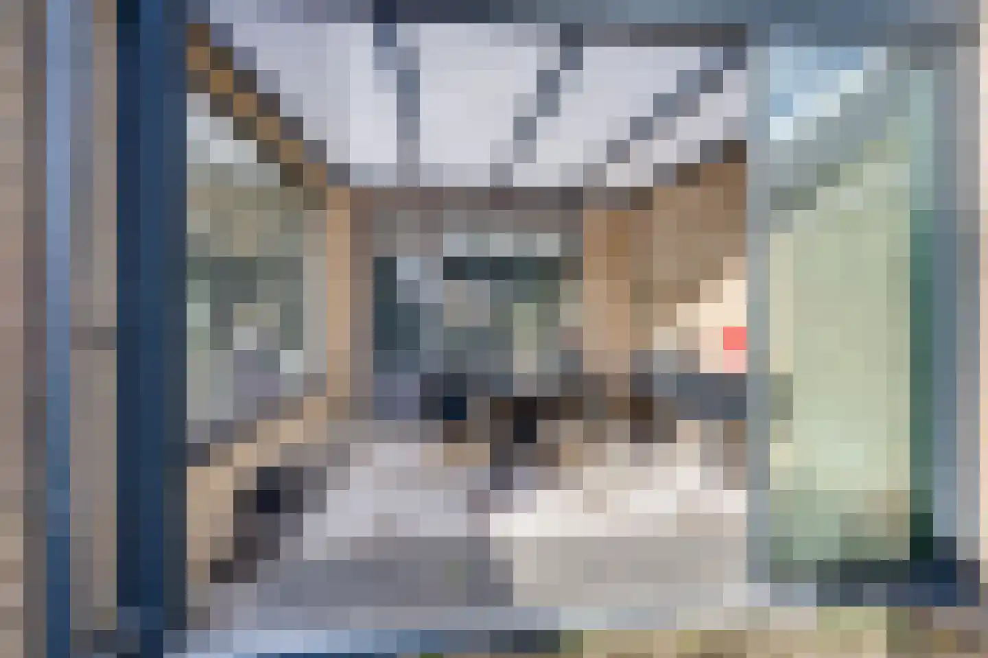 Schoutstraat 34 Rijen thumbnail 22