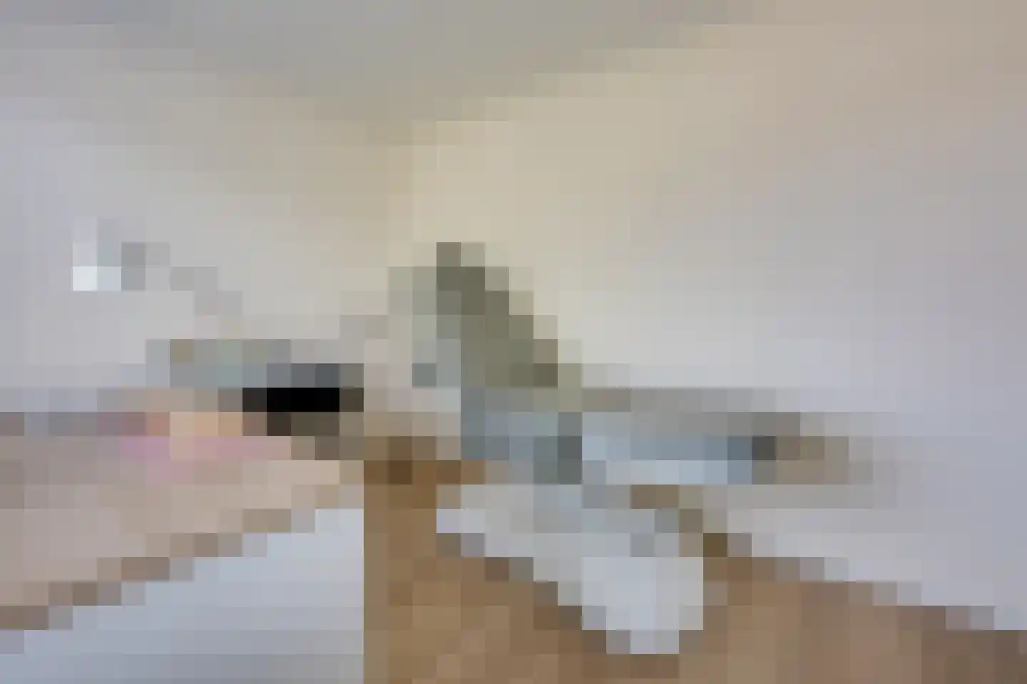 Schoutstraat 34 Rijen thumbnail 31