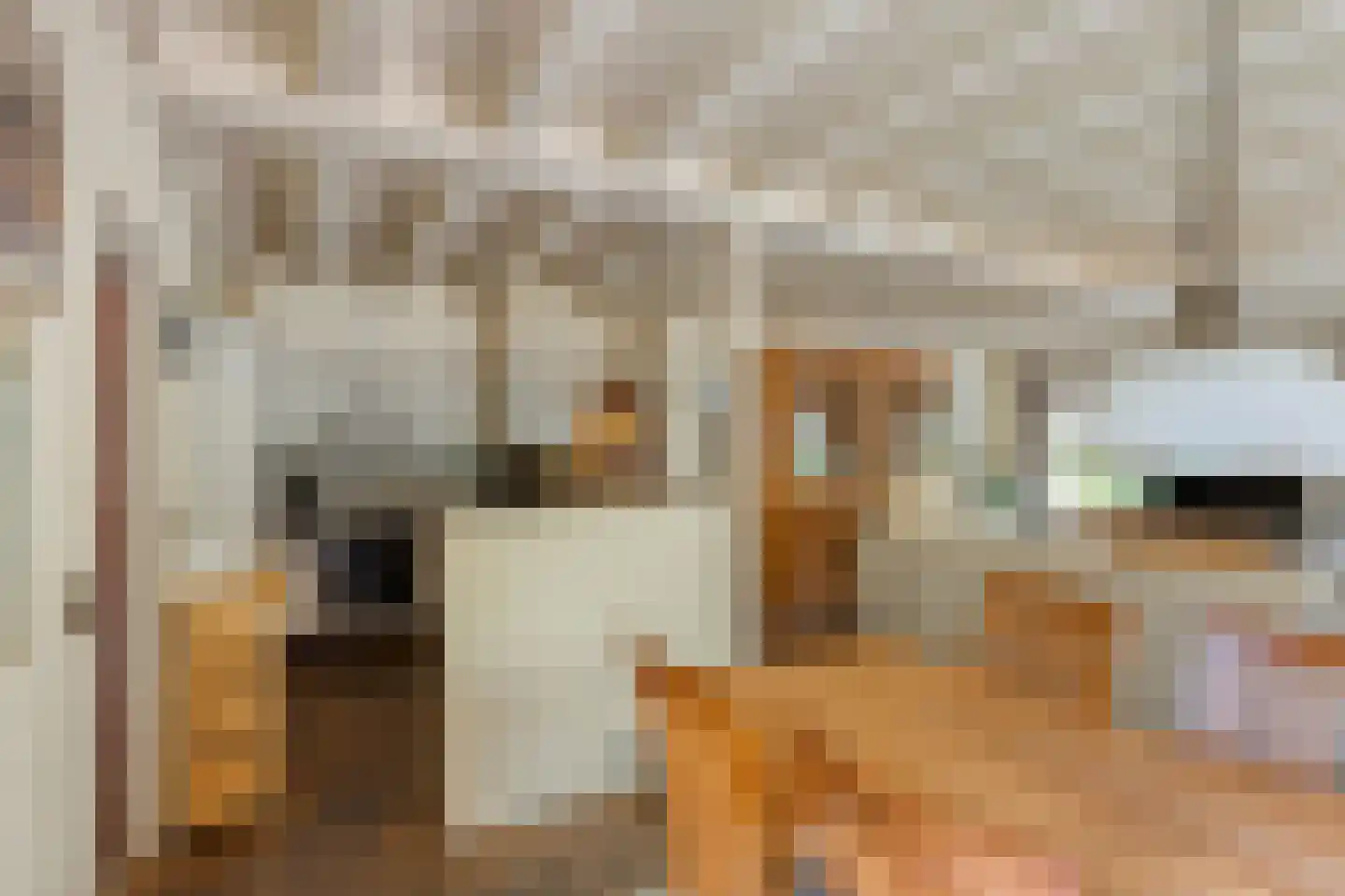Schoutstraat 35 Oss thumbnail 11