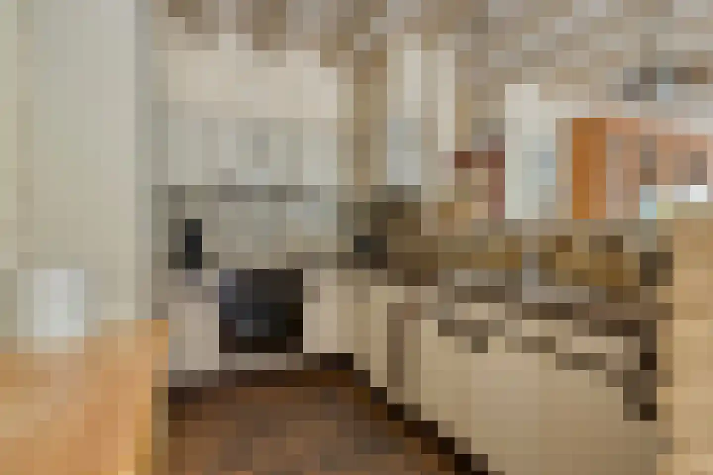 Schoutstraat 35 Oss thumbnail 12