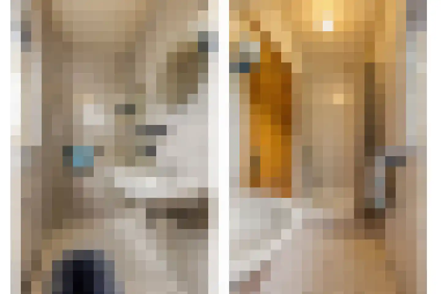 Schoutstraat 35 Oss thumbnail 19