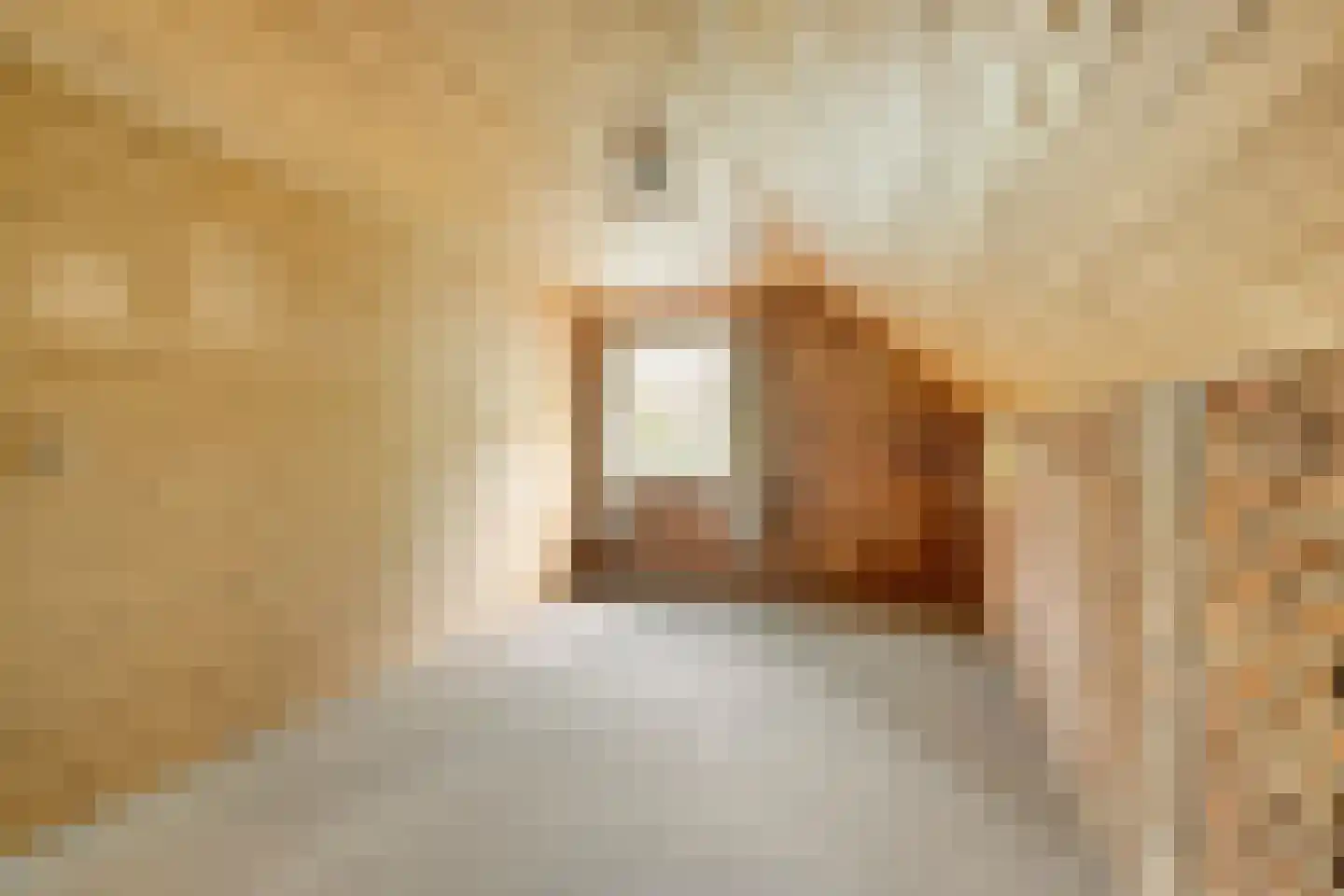 Schoutstraat 35 Oss thumbnail 25