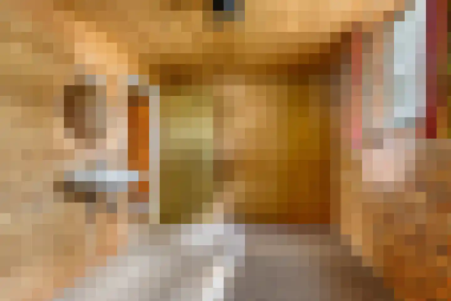 Schoutstraat 35 Oss thumbnail 26