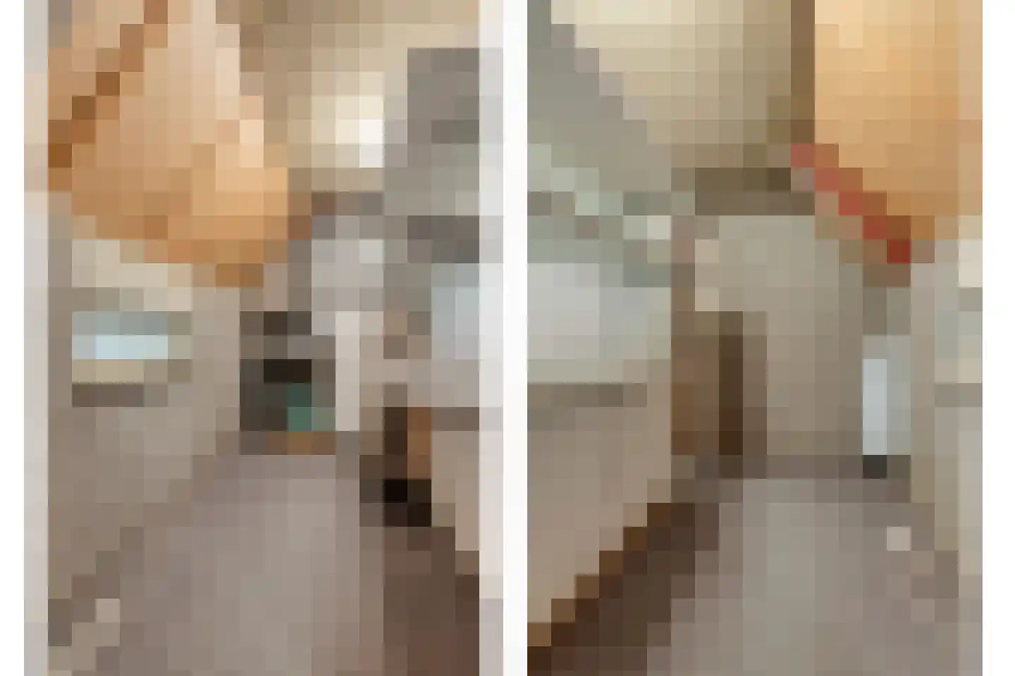 Schoutstraat 35 Oss thumbnail 30