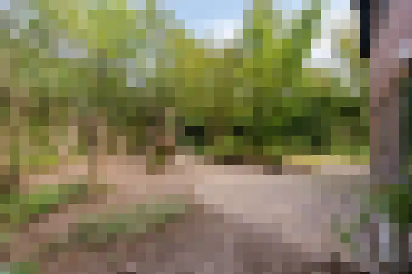 Schoutstraat 35 Oss thumbnail 31