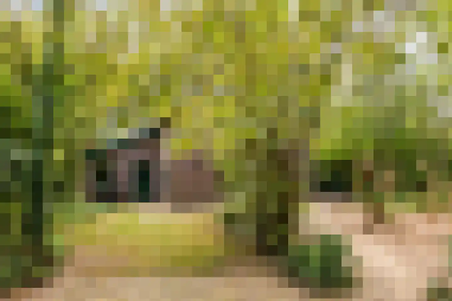Schoutstraat 35 Oss thumbnail 32