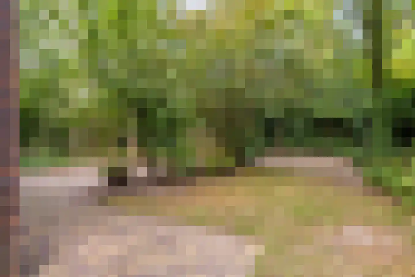 Schoutstraat 35 Oss thumbnail 33