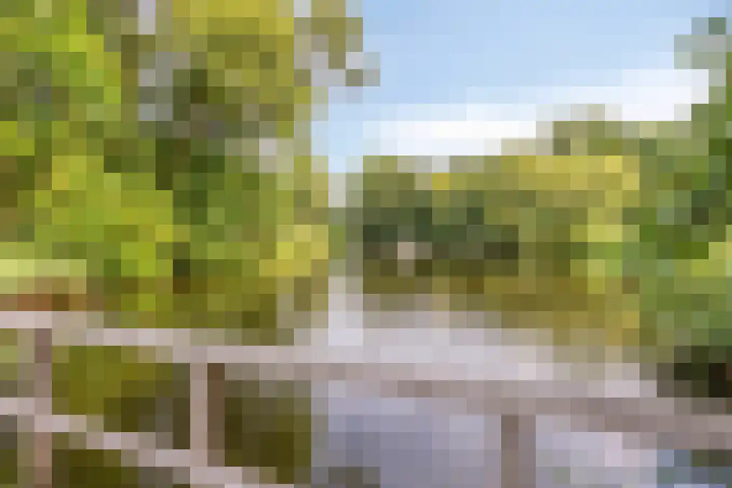 Schoutstraat 35 Oss thumbnail 35