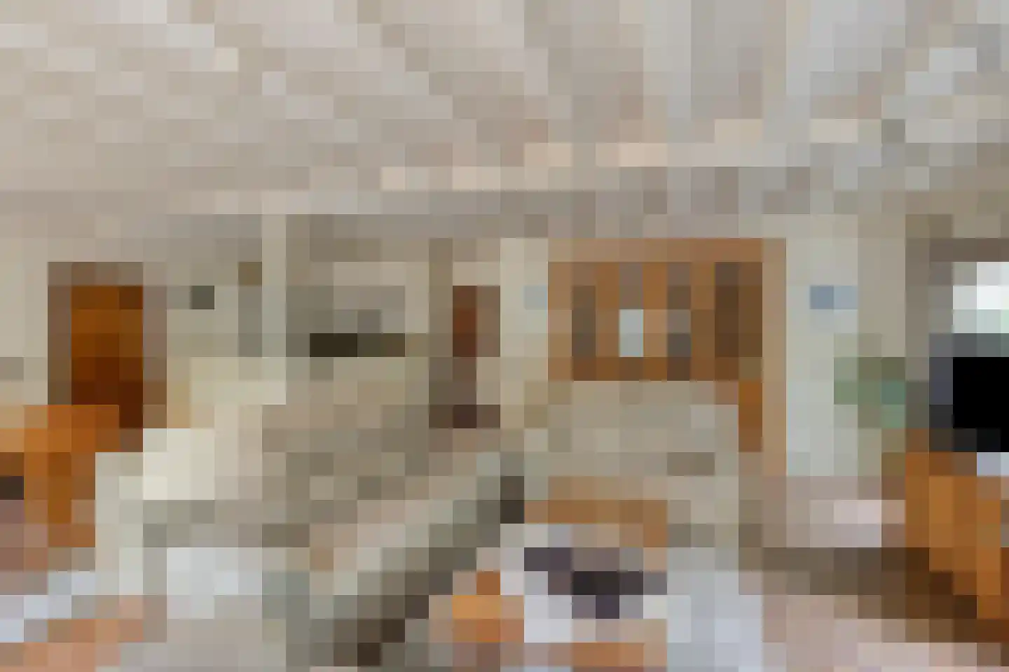 Schoutstraat 35 Oss thumbnail 7