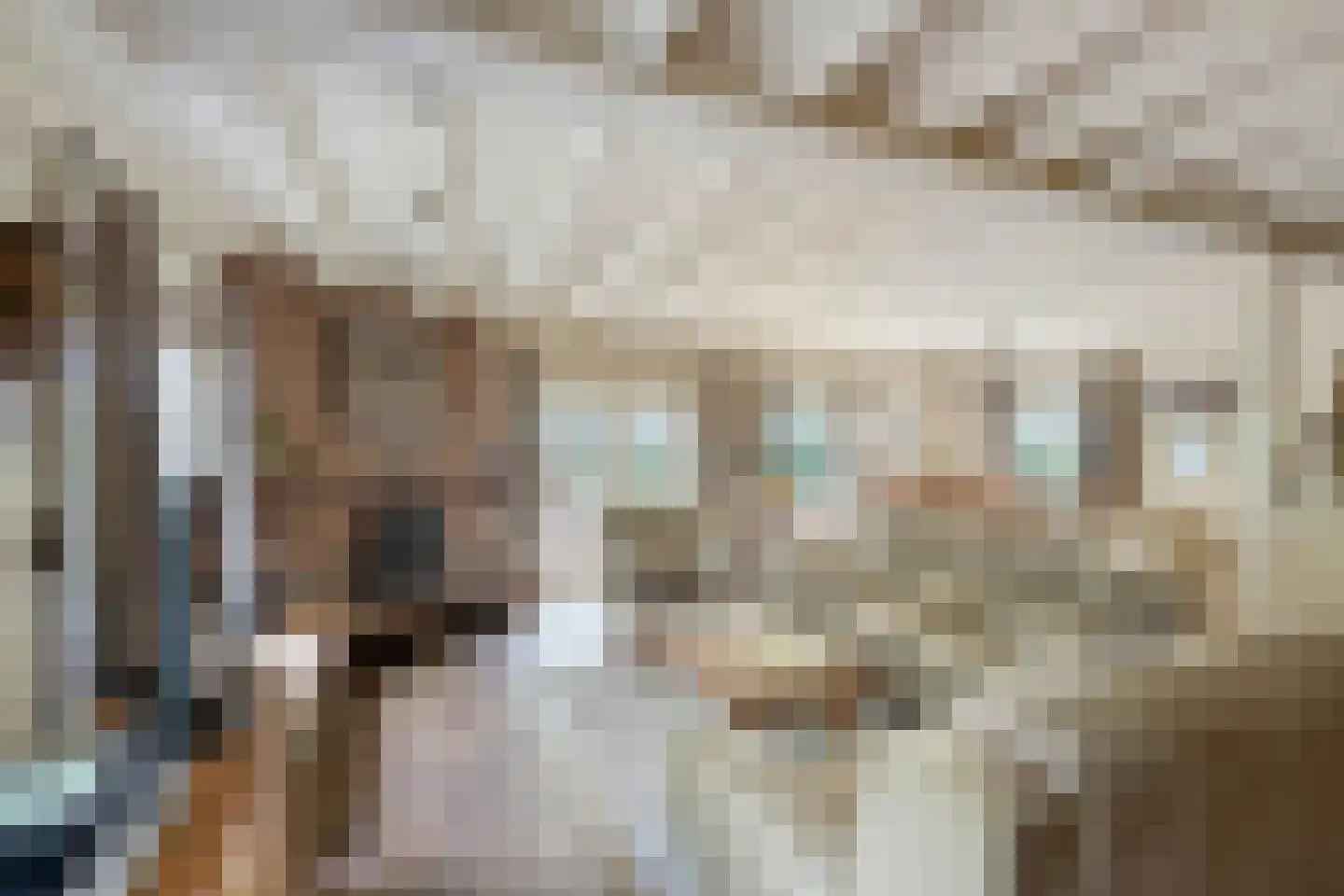 Schoutstraat 35 Oss thumbnail 8