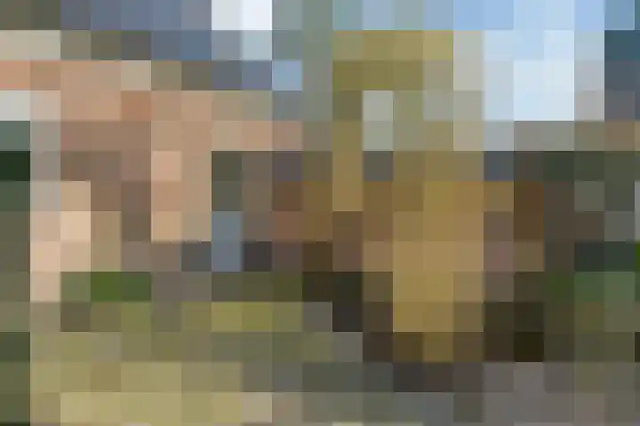 Schoutstraat 36 Woudenberg thumbnail 47