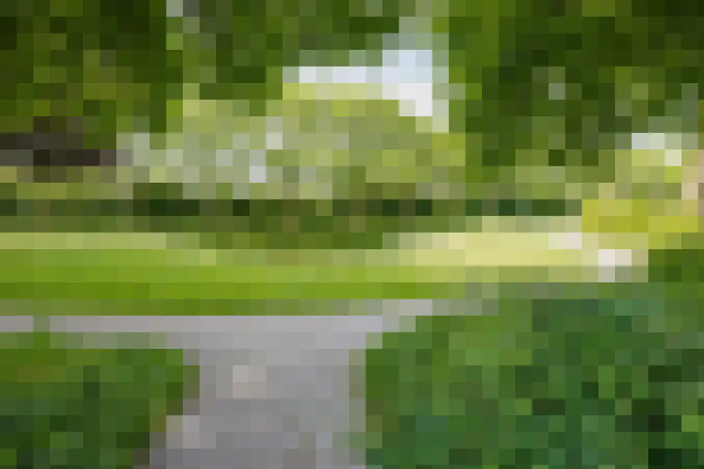 Schoutstraat 4 Alphen aan den Rijn thumbnail 39